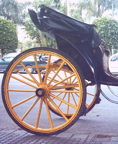 Modificación de la Ordenanza Municipal reguladora del servicio de Transporte de Viajeros en coche de caballos.