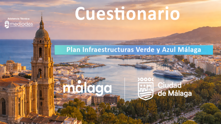 Cabecera Encuesta PEQUEÑA.png