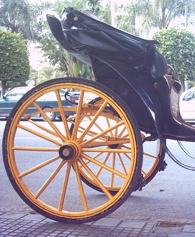 Fase de Audiencia. Propuesta de Ordenanza Municipal Reguladora del Servicio de Transporte de Viajeros en Coche de Caballos