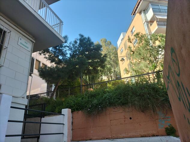 Calle Ovando, Malas hierbas