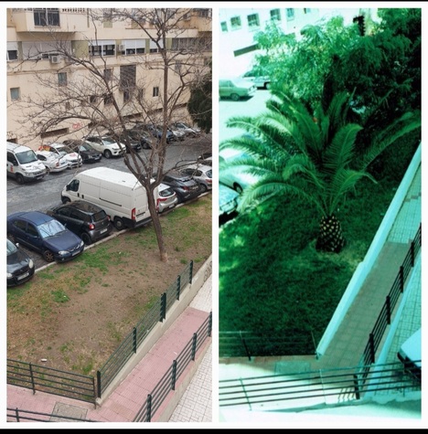 Antes y estado actual. 