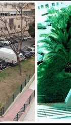 Antes y estado actual.